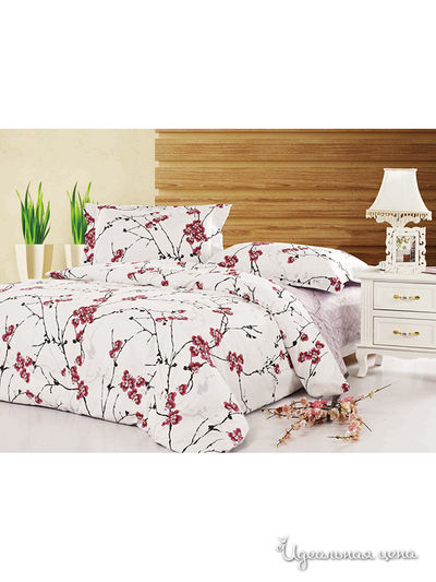 Комплект Softline