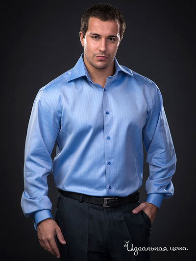 Рубашка Jess France, цвет цвет голубой