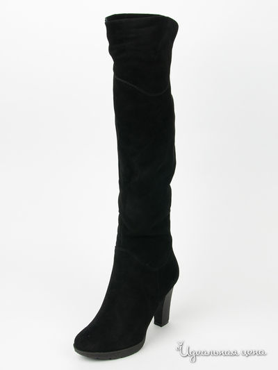 Сапоги Anre Tani, цвет цвет черный