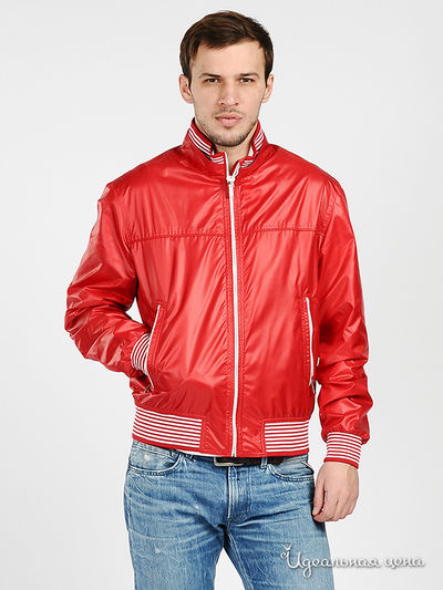 Ветровка YSL, цвет цвет красный