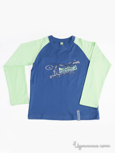 Лонгслив Венейя, цвет цвет синий