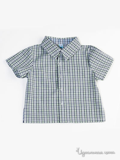 Рубашка Венейя, цвет цвет зеленый / синий