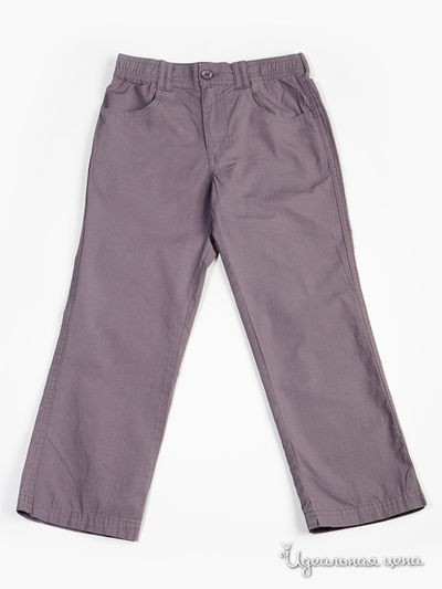 Брюки Венейя, цвет цвет серый