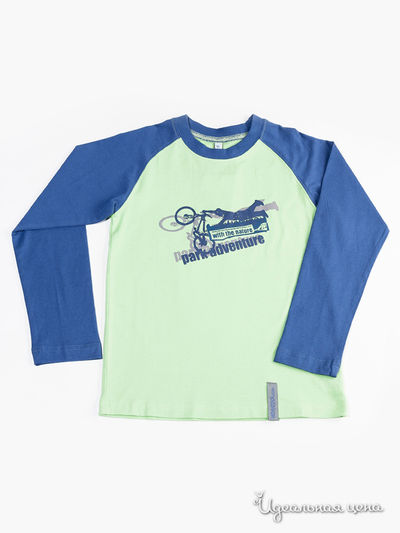 Лонгслив Венейя, цвет цвет салатовый