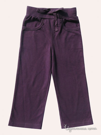 Брюки BABY CLUB, цвет цвет фиолетовый