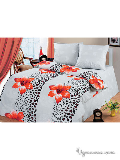 Комплект Магия Ночи