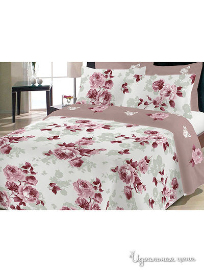 Комплект Магия Ночи