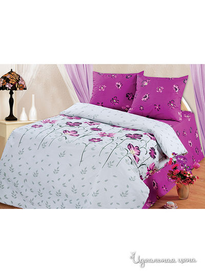 Комплект Магия Ночи