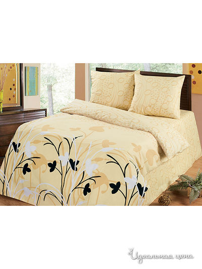 Комплект Магия Ночи