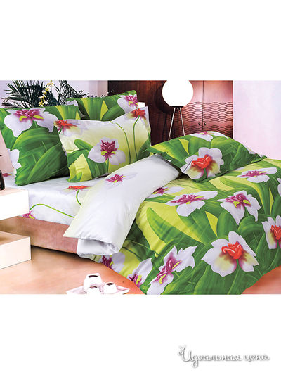 Комплект Магия Ночи