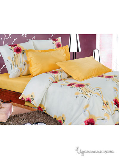 Комплект Магия Ночи