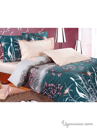 Комплект Магия Ночи