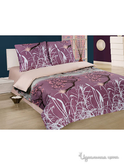 Комплект Магия Ночи