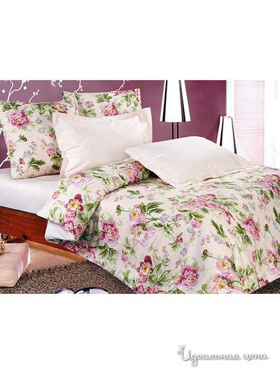 Комплект Магия Ночи