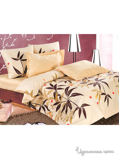 Комплект Магия Ночи