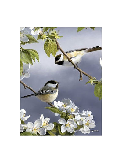 Набор Reeves (Oasis)