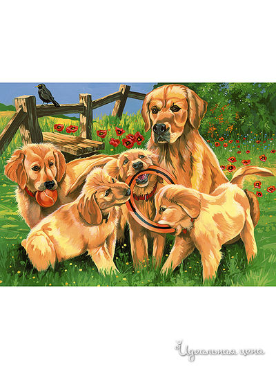 Набор Reeves (Oasis)