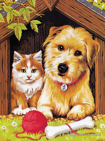 Набор Reeves (Oasis)