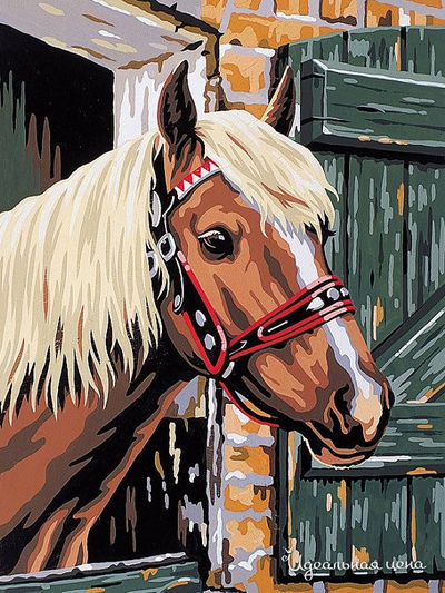 Набор Reeves (Oasis)