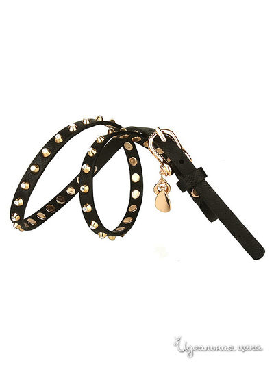 Ремень Dispacci, цвет цвет черный