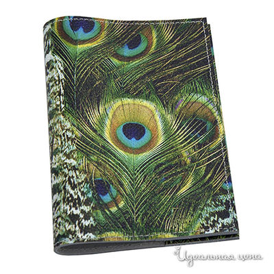 Обложка Кажан Стиль, цвет цвет мультиколор