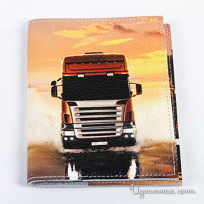 Обложка Кажан Стиль, цвет цвет мультиколор