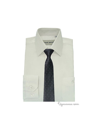 Рубашка Аvanti-Piccolo, цвет цвет белый