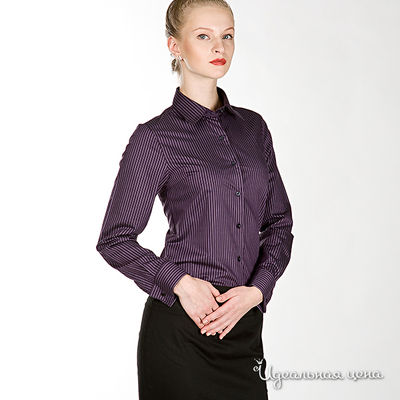 Рубашка Alonzo Corrado, цвет цвет баклажановый / принт полоска