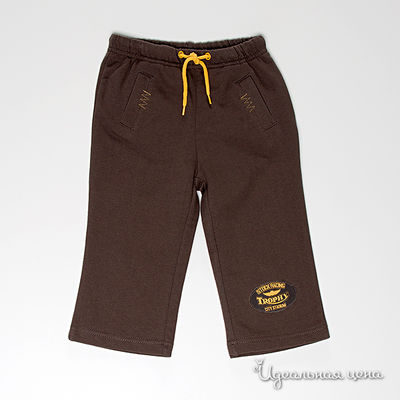 Брюки Coccodrillo, цвет цвет коричневый