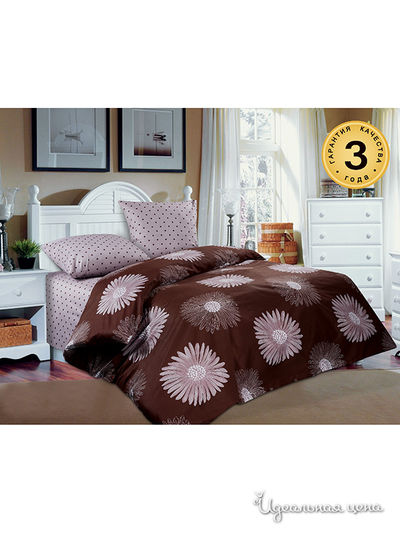 Комплект Domus