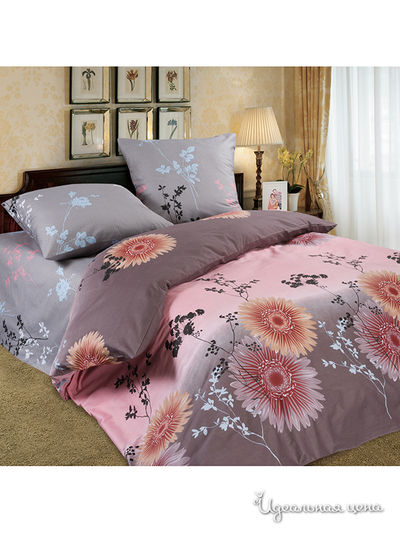 Комплект Domus