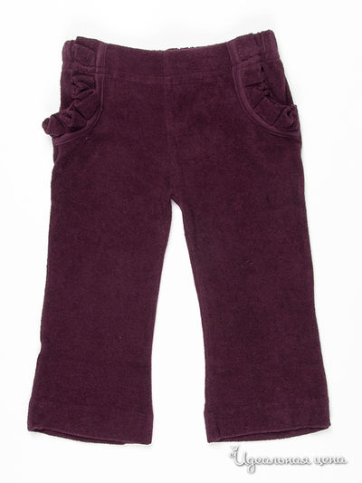 Брюки Kate Quinn Organics, цвет цвет фиолетовый