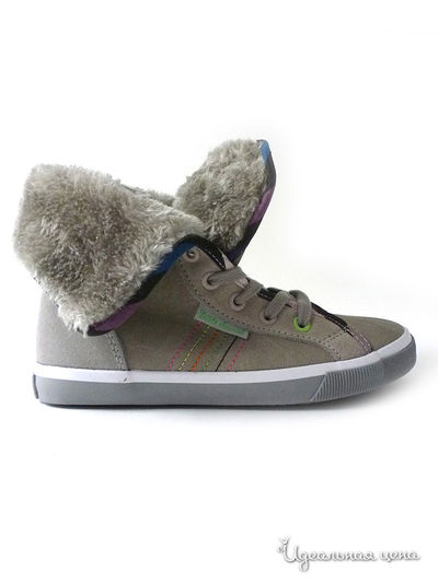 Кеды Little Marcel, цвет цвет серый
