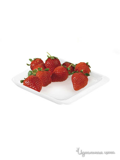 Тарелка Tescoma