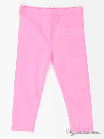 Леггинсы FOX, цвет цвет ярко-розовый