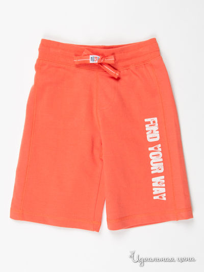 Шорты FOX, цвет цвет коралловый