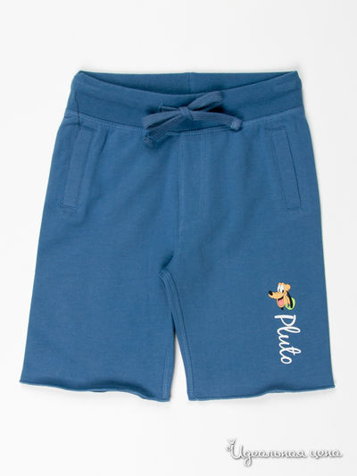 Шорты FOX, цвет цвет синий