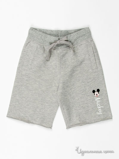 Шорты FOX, цвет цвет серый меланж