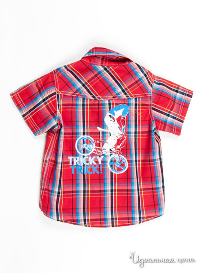 Рубашка ZARA для мальчика, цвет красный / принт клетка