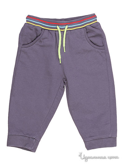 Брюки Coccodrillo, цвет цвет графитовый