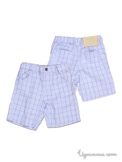 Шорты Coccodrillo, цвет цвет голубой