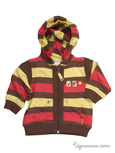 Толстовка Coccodrillo, цвет цвет мультиколор