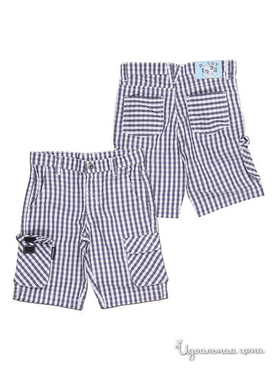 Шорты Coccodrillo, цвет цвет синий / белый