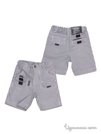 Бермуды Coccodrillo, цвет цвет мультиколор