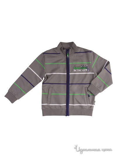 Толстовка Coccodrillo, цвет цвет серый