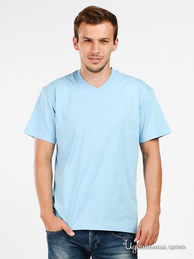 Футболка Swan, цвет цвет голубой