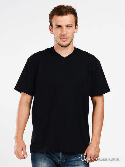 Футболка Swan, цвет цвет черный