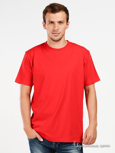 Футболка Swan, цвет цвет красный