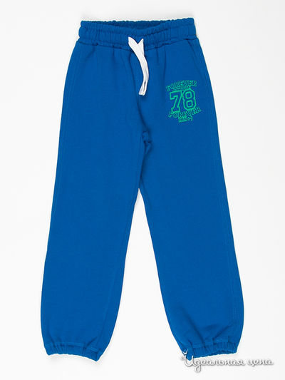 Брюки 5 10 15, цвет цвет голубой