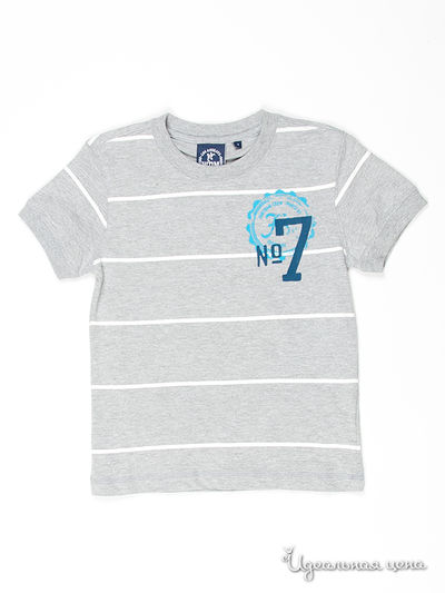 Футболка WPM, цвет цвет серый меланж